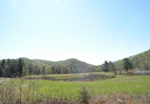 Lakeview Trail